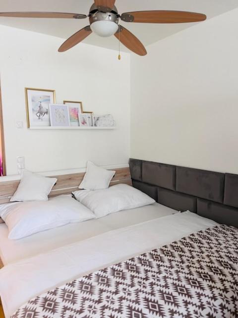 Mollart Apartment فيينا المظهر الخارجي الصورة